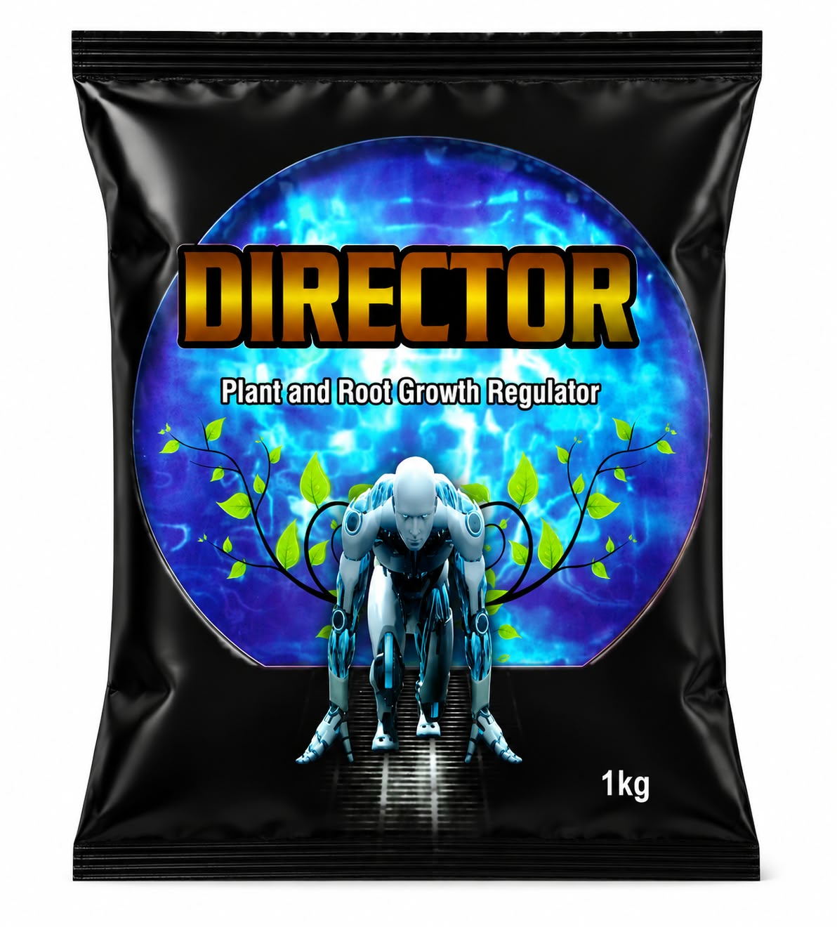 DIRECTOR PGR